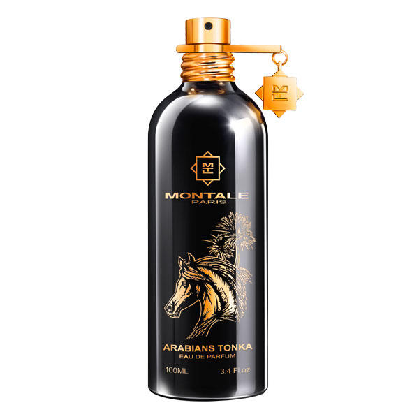 Montale Arabians Tonka Probe